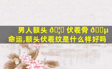 男人额头 🦈 伏羲骨 🐵 命运,额头伏羲纹是什么样好吗